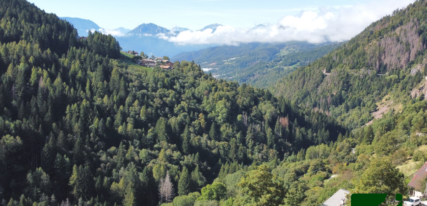 TERRENO EDIFICABILE IN PANORAMICA POSIZIONE