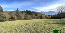 TERRENO AGRICOLO A POCHI MINUTI DA CIVEZZANO