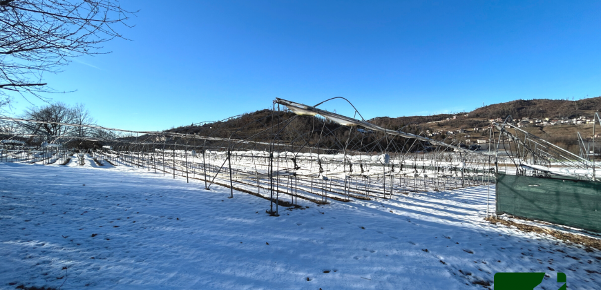 ESCLUSIVO TERRENO AGRICOLO COMPRENSIVO DI SERRE