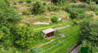 PANORAMICO TERRENO AGRICOLO